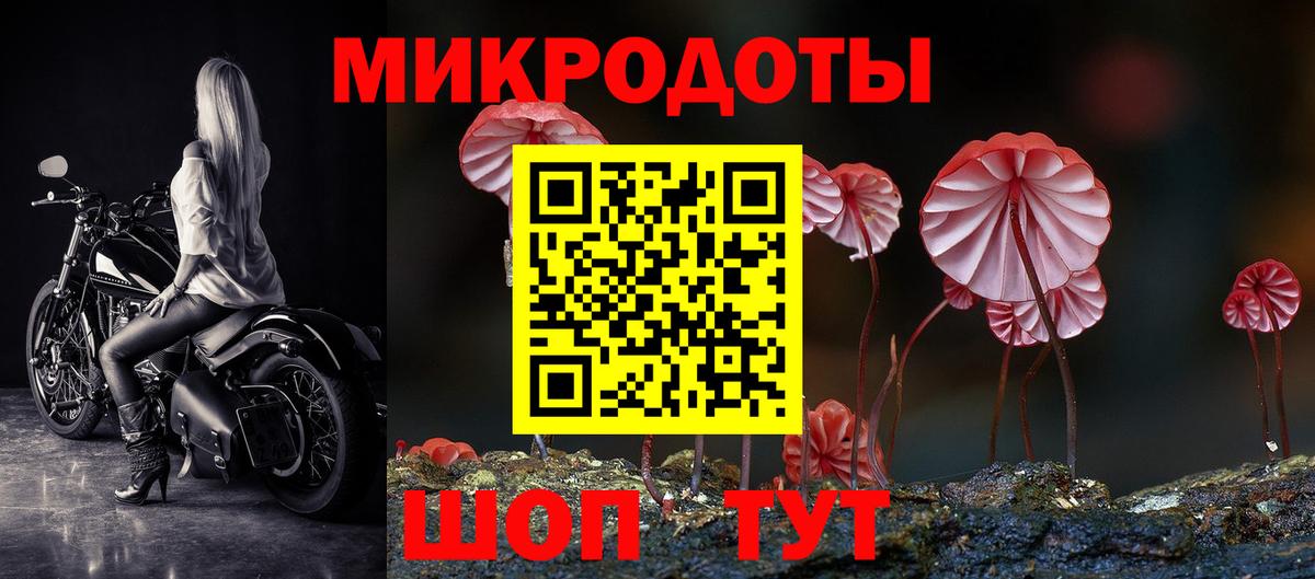 Галлюциногенные грибы Psilocybine cubensis  Вход с VPN  Сибай 